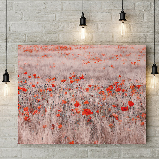 obrazy Obraz Maki 120 x 90 cm Wydruk na płótnie