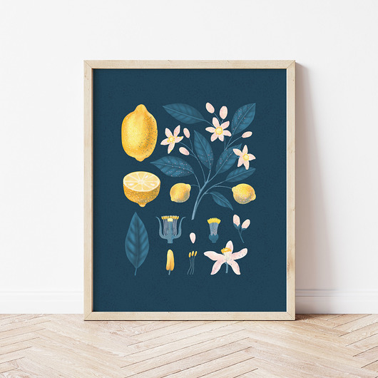 plakaty Plakat "Cytryny" na ciemnym tle 40x50