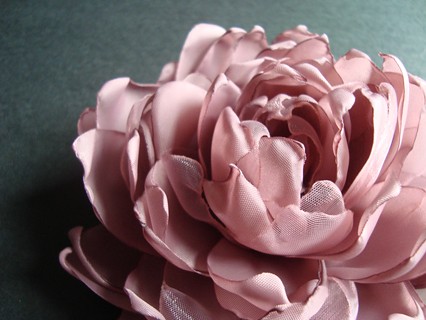 PRZYDYMIONE RÓŻE_ZAMÓWIENIE SundayRose