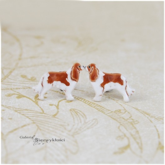 Cavalier mini pieski- ceramiczne kolczyki Dorca