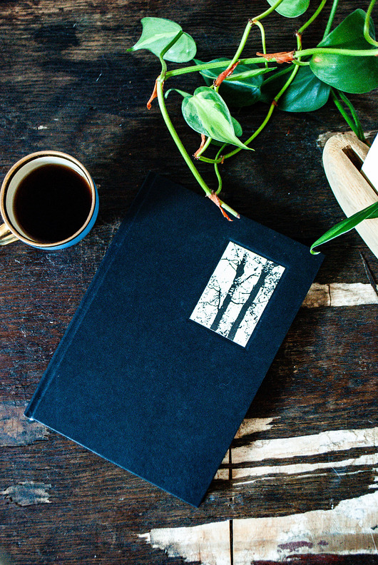 notatniki i albumy Czerń drzew - notes A5, gładki