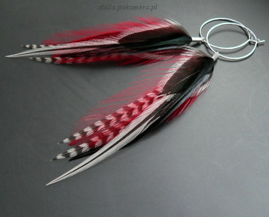 arrows Stella