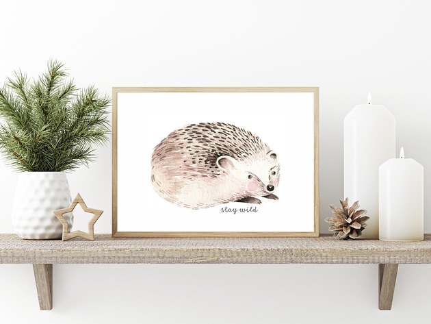 plakaty Plakat. Leśne przygody, jeż