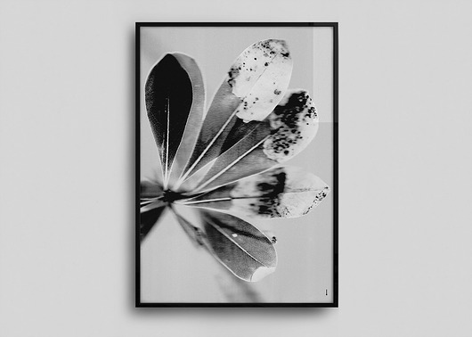 AUTUMN BLUSH!  ART PRINT | B1 | 100x70 cm | MASPARTU