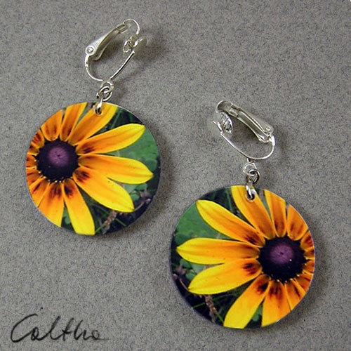 kwiaty 2 Caltha