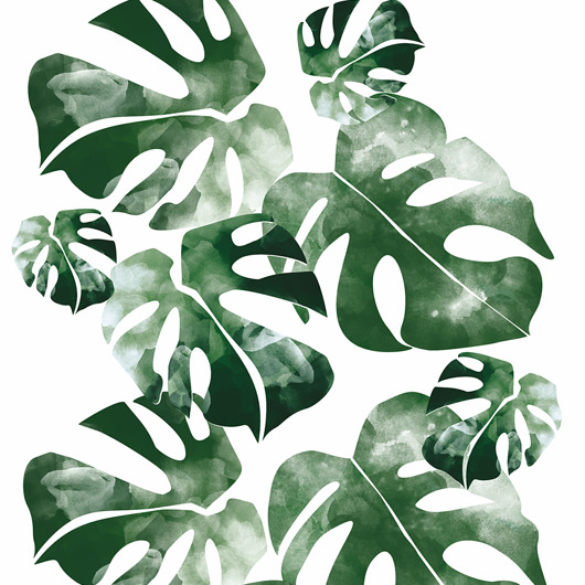 Tapeta młodzieżowa  Monstera Leaf Humpty Dumpty Room Decoration