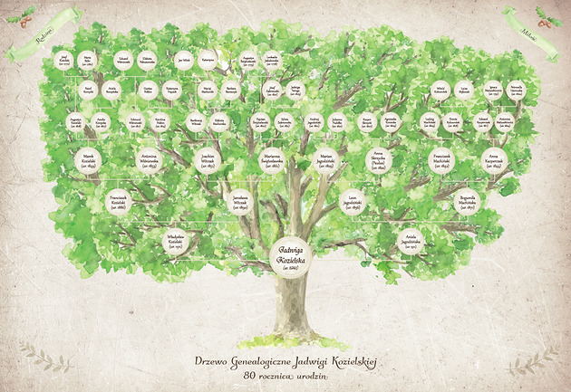 plakaty Plakat/ Obraz Drzewo rodzinne genealogiczne