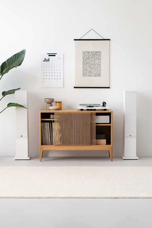 komody i szafki TONN 101 - szafka pod gramofon i płyty winylowe