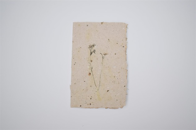 kartka okolicznościowa - papier czerpany Czerpane