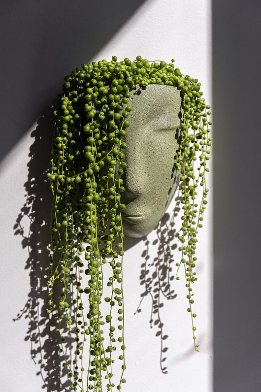 doniczki Doniczka głowa na ścianę miętowy beton