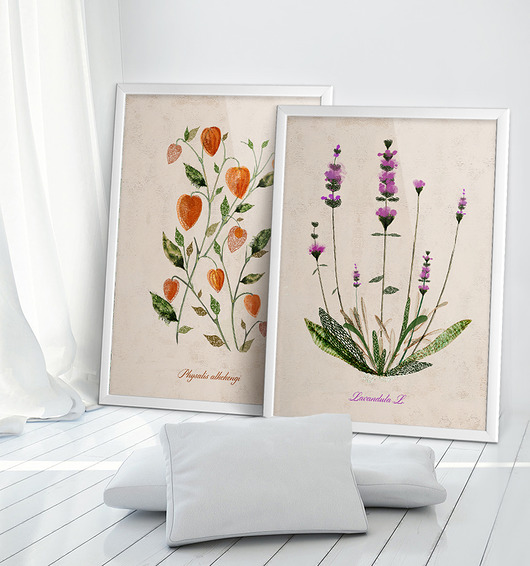 Grafiki botaniczne | 50x70 cm Anita Tomala