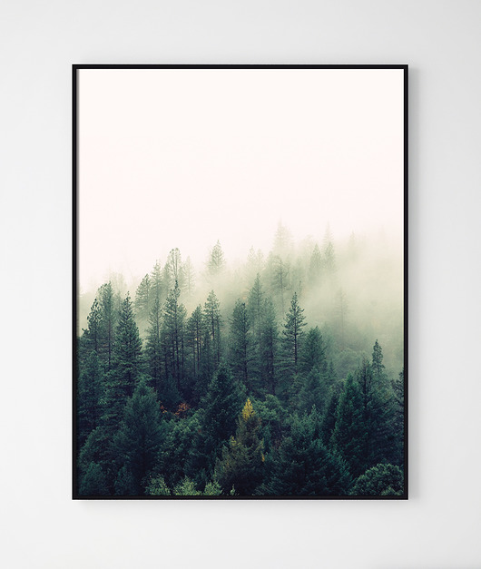 Plakat GREEN/ Las we mgle Szare Kropki