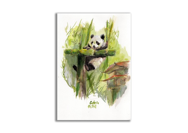 grafiki i ilustracje Akwarela ręcznie malowana  Panda
