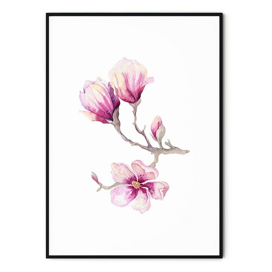 Plakat skandynawski botaniczny Magnolia myscandi