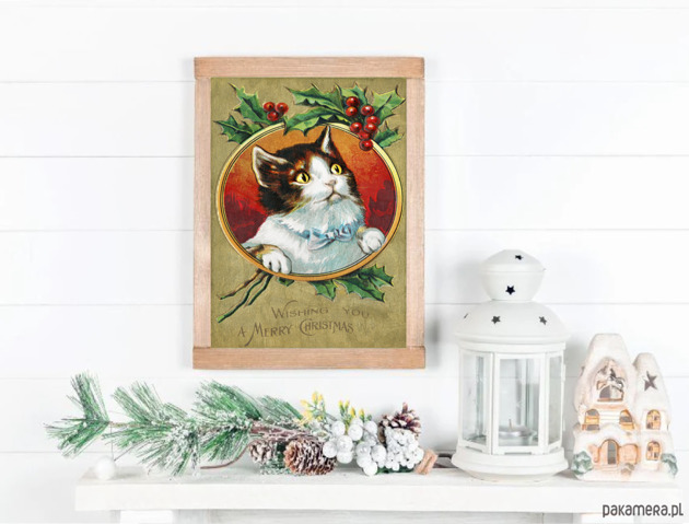 grafiki i ilustracje PLAKAT kot świąteczny vintage grafika