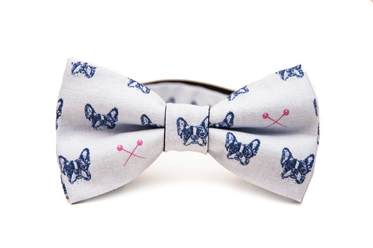 mucha FRENCH BULLDOG mięta showroom