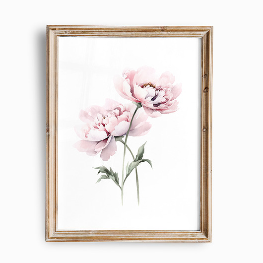 obrazy Pastelowa Różowa Piwonia - grafika botaniczna