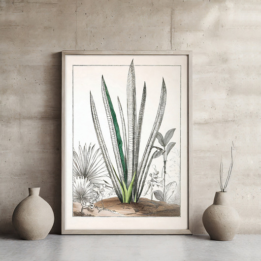 plakaty Plakat botaniczny