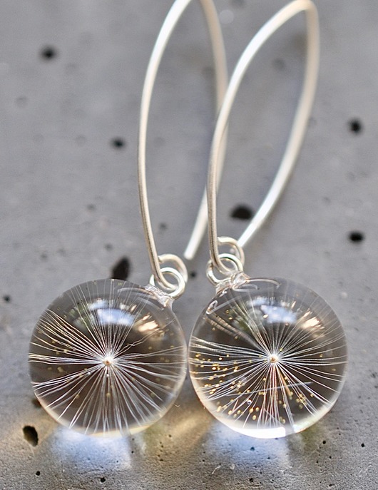 Kolczyki srebrne z prawdziwągwiazdką dmuchawca Grol Jewellery