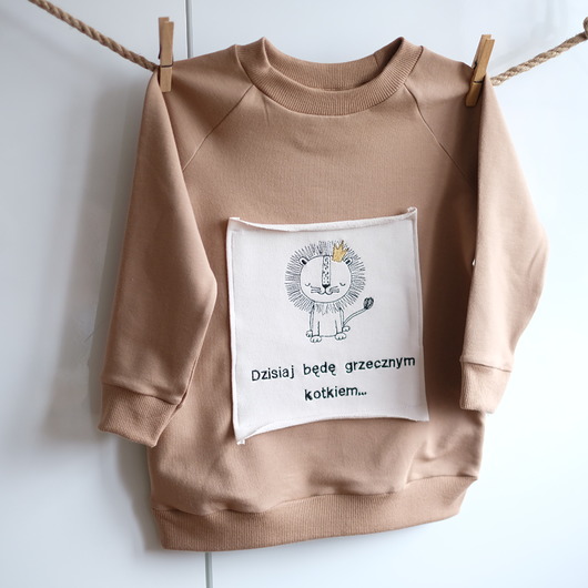 bluzy dla chłopców Bluza z lwem