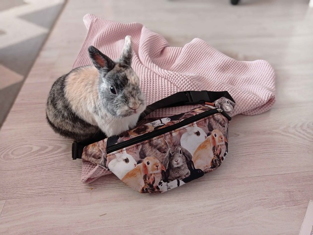 saszetka nerka Nerka króliki