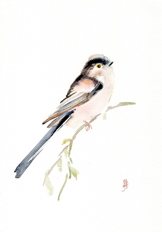obrazy Oryginalna akwarela. Raniuszek