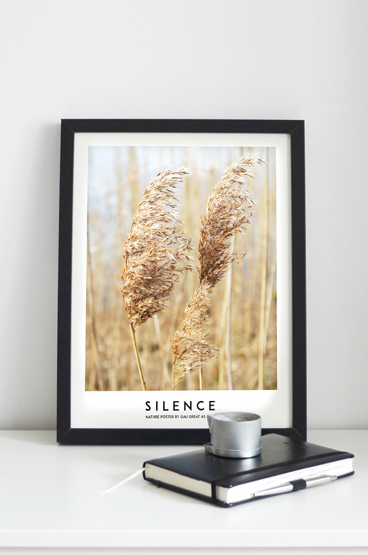Silence Nature Plakat 30x40 GAU Home