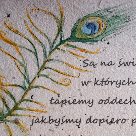 Pawie Piórka! - Ręcznie Malowany Dyplom Parallel World