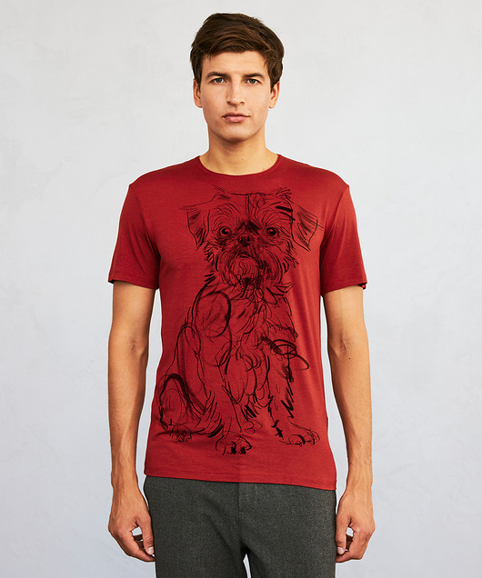 t-shirty męskie Brussels Griffon Dog Men's T-shirt marsala
