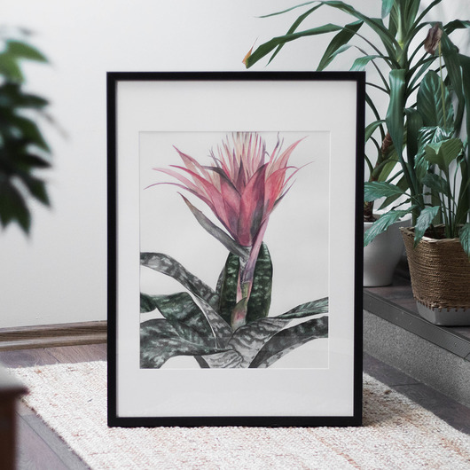grafiki i ilustracje Fasciata