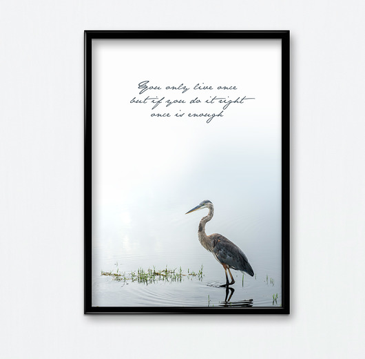 Plakat You live once..  Bury Lis