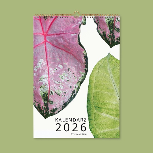 kalendarze i plannery Kalendarz ścienny 2026 na Spirali BOTANICAL A3 Premium