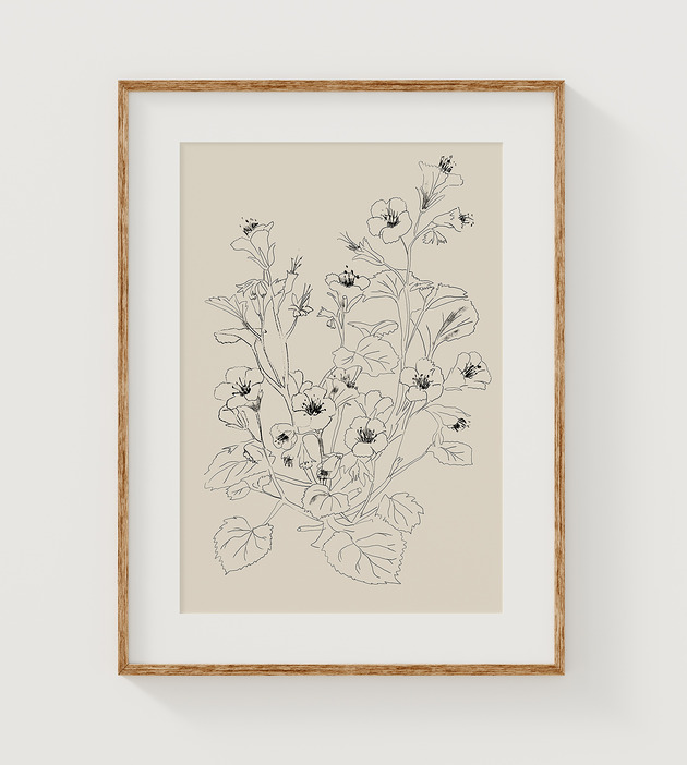 plakaty Plakat Rysunek botaniczny A3