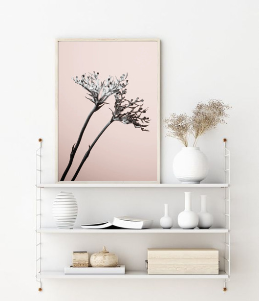 PLAKAT natura botaniczny z rośliną black dot studio