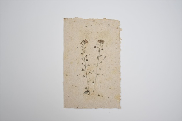 kartka okolicznościowa - papier czerpany Czerpane