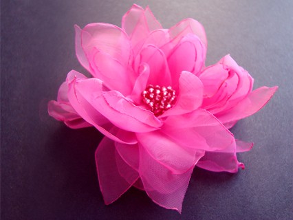 NA GÓRZE RÓŻE_ZAMÓWNIENIE SundayRose