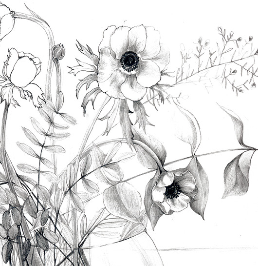 Anemone  plakat/poster, wydruk cyfrowy Margo Hupert