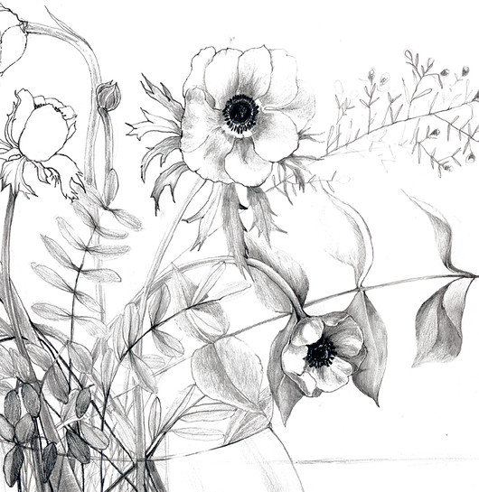 Anemone , print 50x70 cm Margo Hupert