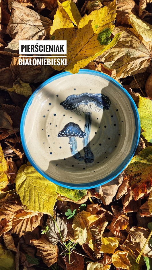 patery i talerze Mhchomor niebieski Talerz Głeboki duży, dla Grzybiarza, Talerz ilustrowany