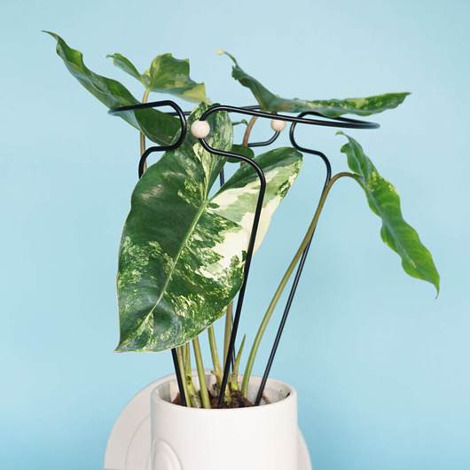 kwietniki Podpora busz.obręcz