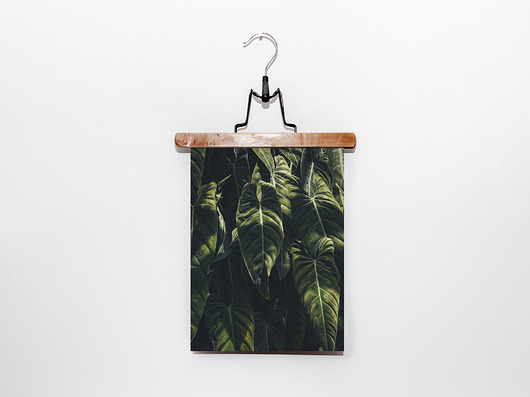 Plakat botaniczny TROPIKALNE LIŚCIE no.1 muybien
