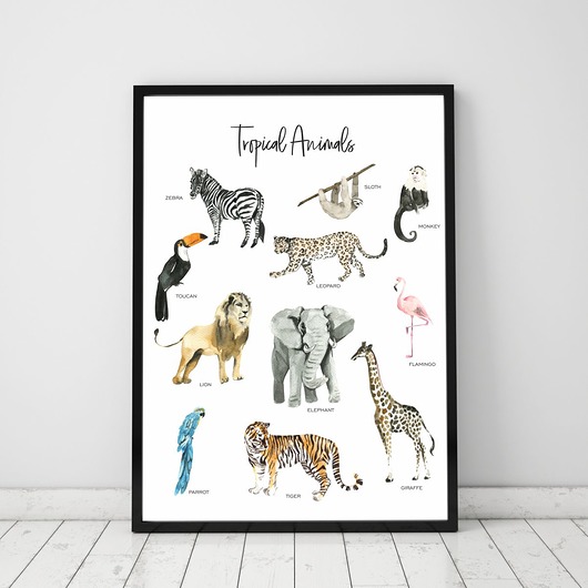 Plakat Tropical Animals - Tropikalne Zwierzęta TamTamTu