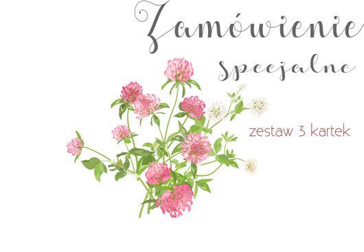 Zestaw 3 kartek z kopertami AnZone