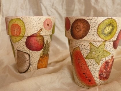 tropical fruits decodecoy