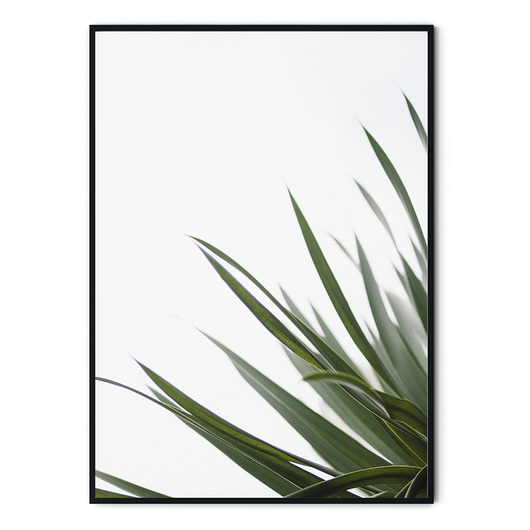 Plakat skandynawski botaniczny Minimalism no. 4 myscandi