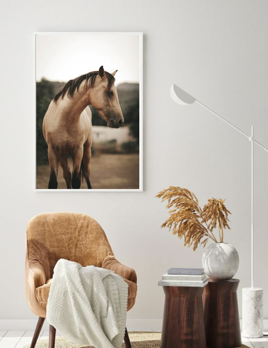 plakaty PLAKAT z koniem, koń plakat, boho plakat