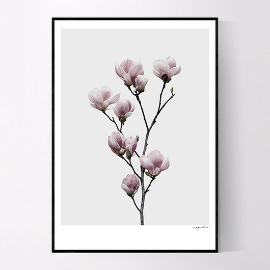 Plakat MAGNOLIA NO.2 MUKKO