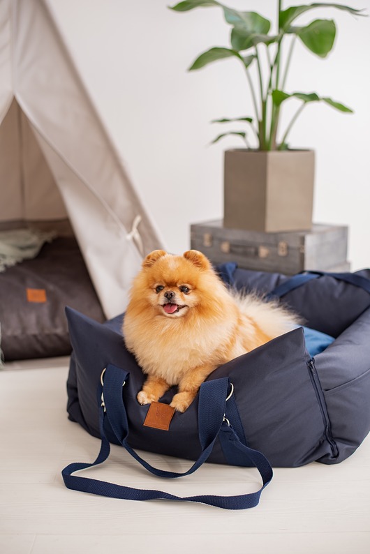 legowiska dla psów i kotów Legowisko przenośnie torba dla zwierząt  Navy blue