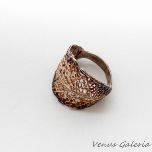 Liściasty VENUS GALERIA