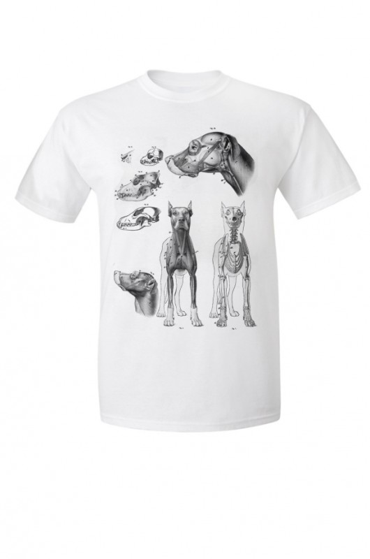 DOG - Koszulka Męska T-shirt GAU great as You